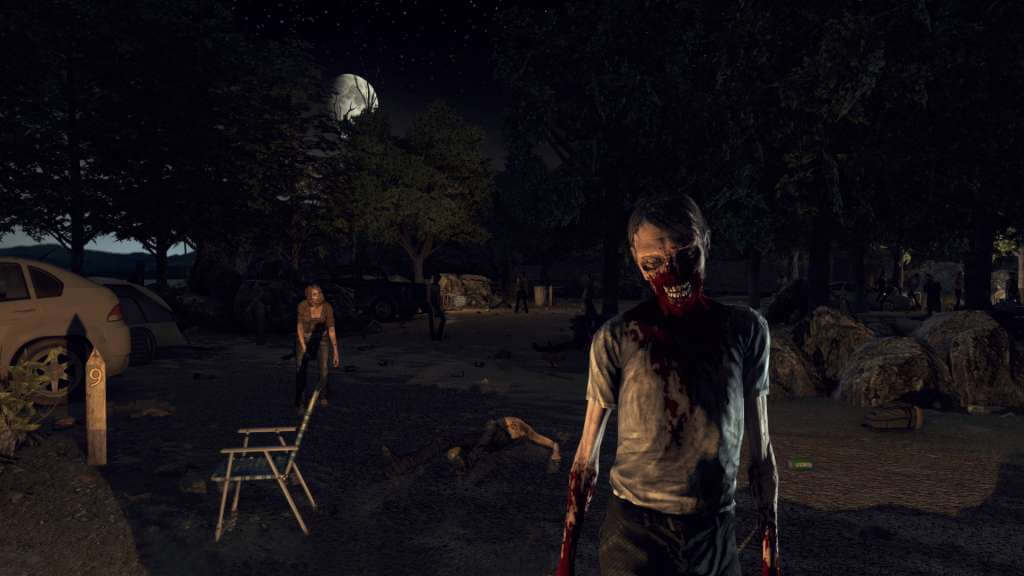 The Walking Dead: Survival Instinct Steam CD Key