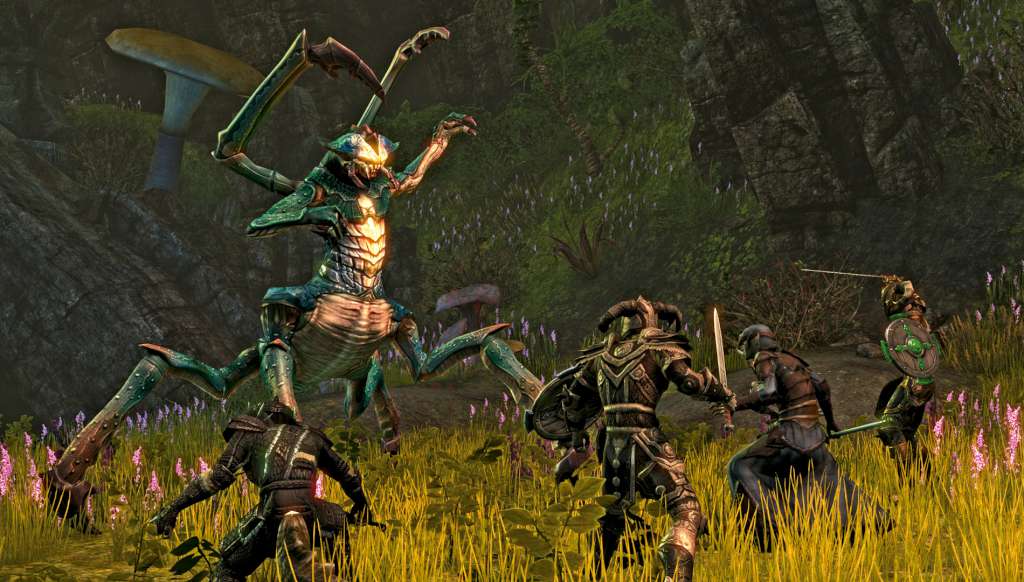 The Elder Scrolls Online -  Explorer's Pack DLC EU PS4 CD Key