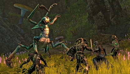 The Elder Scrolls Online -  Explorer's Pack DLC EU PS4 CD Key