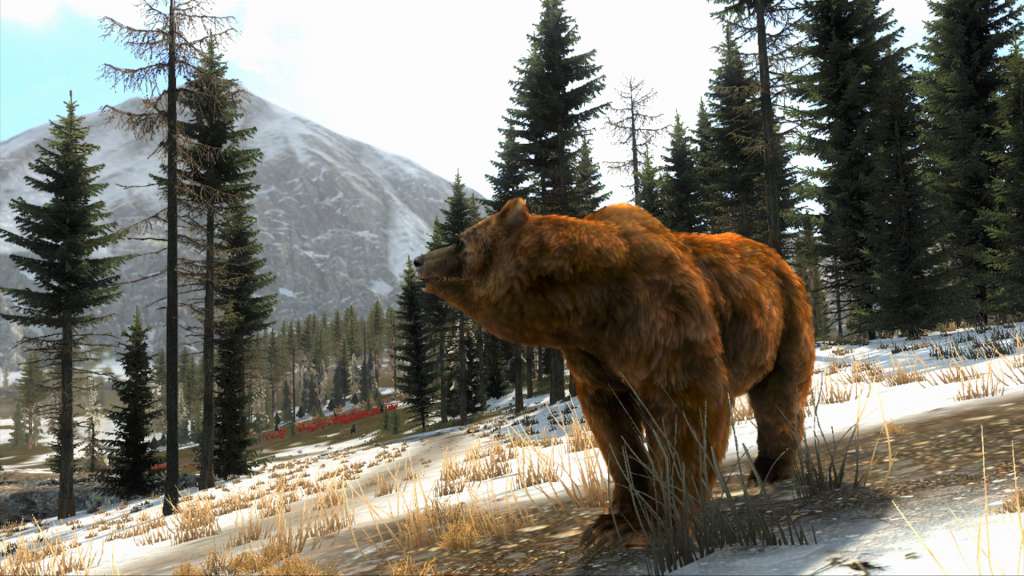 Cabela's Big Game Hunter Pro Hunts Steam Gift