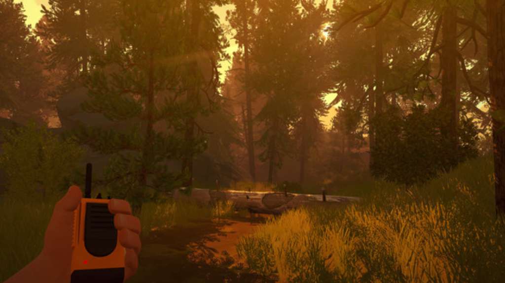 Firewatch PS4 Account