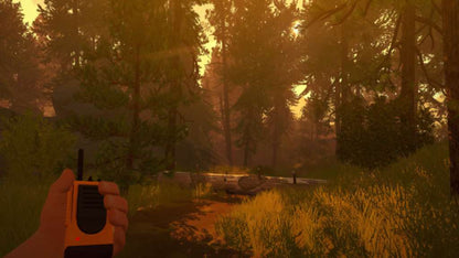 Firewatch Playstation 5 Account