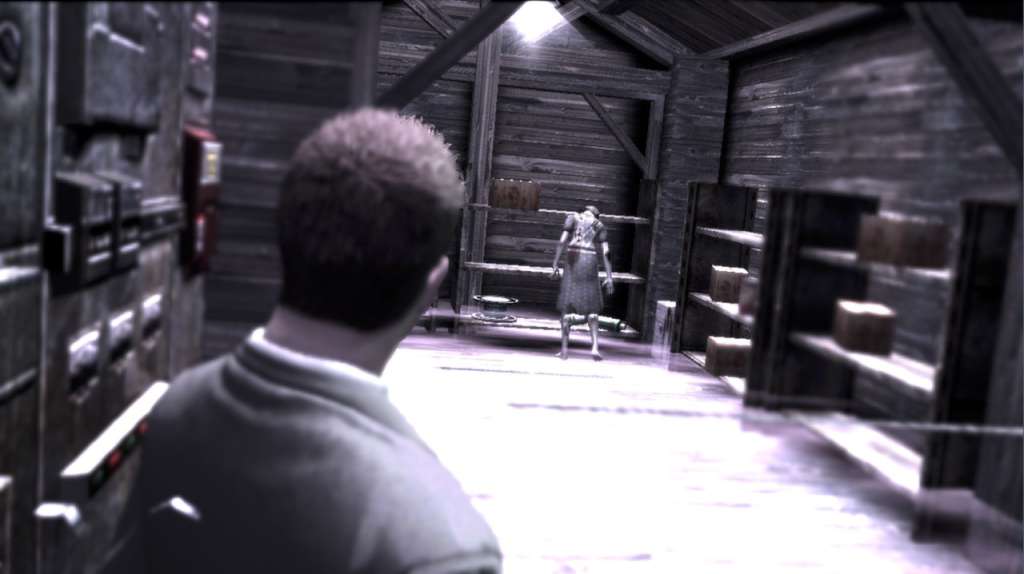 Deadly Premonition: The Director's Cut PC Steam CD Key