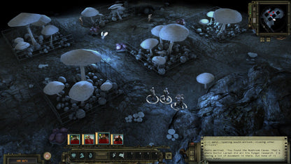 Wasteland 2: Director's Cut XBOX One / Xbox Series X|S / PC Account