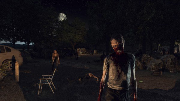 The Walking Dead: Survival Instinct + Walker Herd Survival Pack Steam CD Key