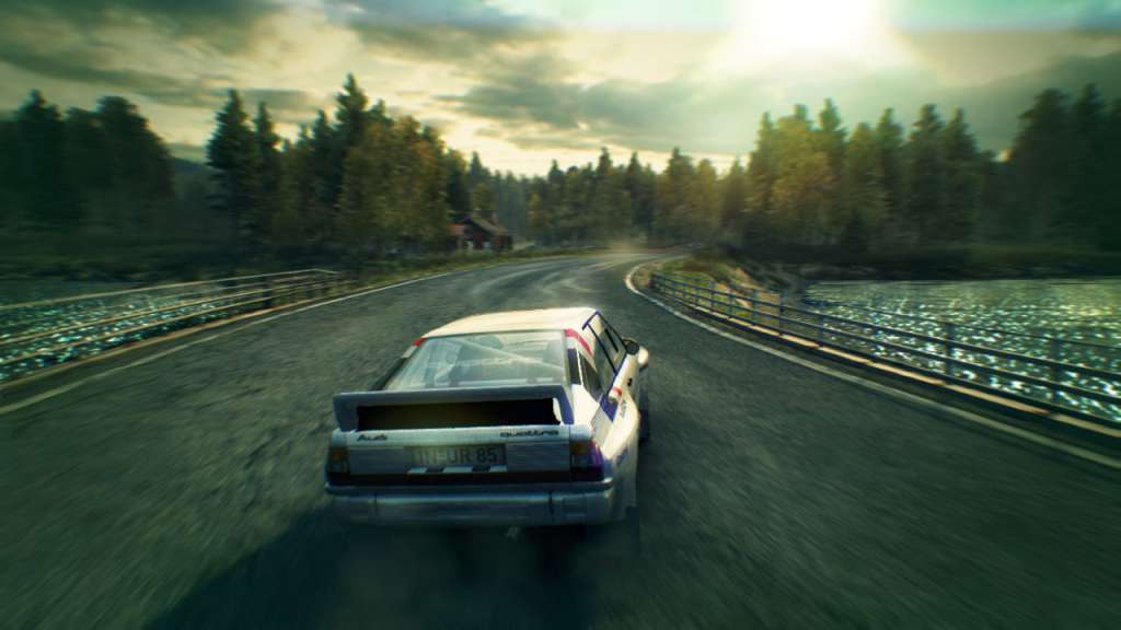 DiRT 3 PC Steam CD Key