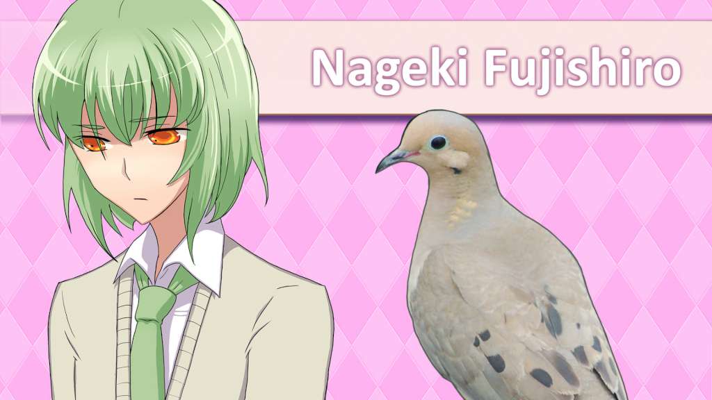 Hatoful Boyfriend Collector's Edition Steam CD Key