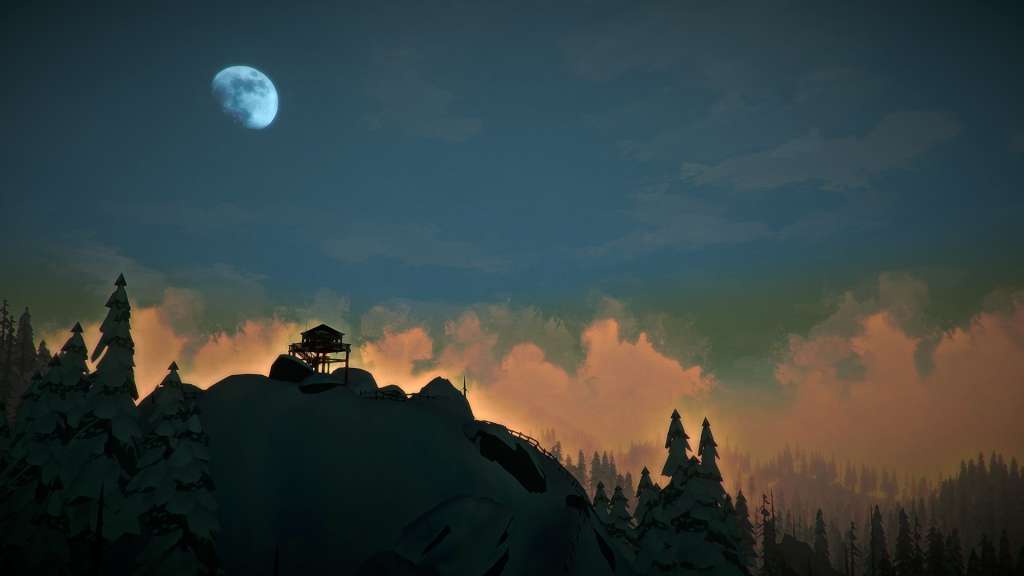 The Long Dark PC Steam Gift