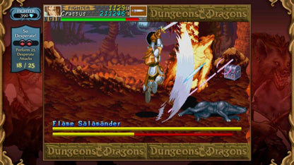 Dungeons & Dragons: Chronicles of Mystara PC Steam CD Key
