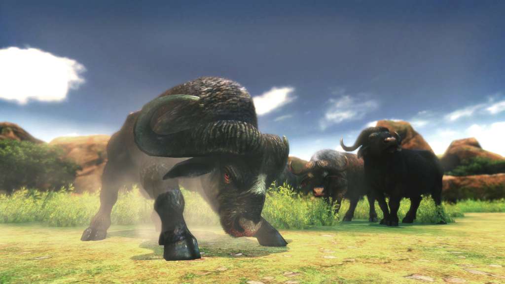 Cabela's African Adventures PC Steam Gift