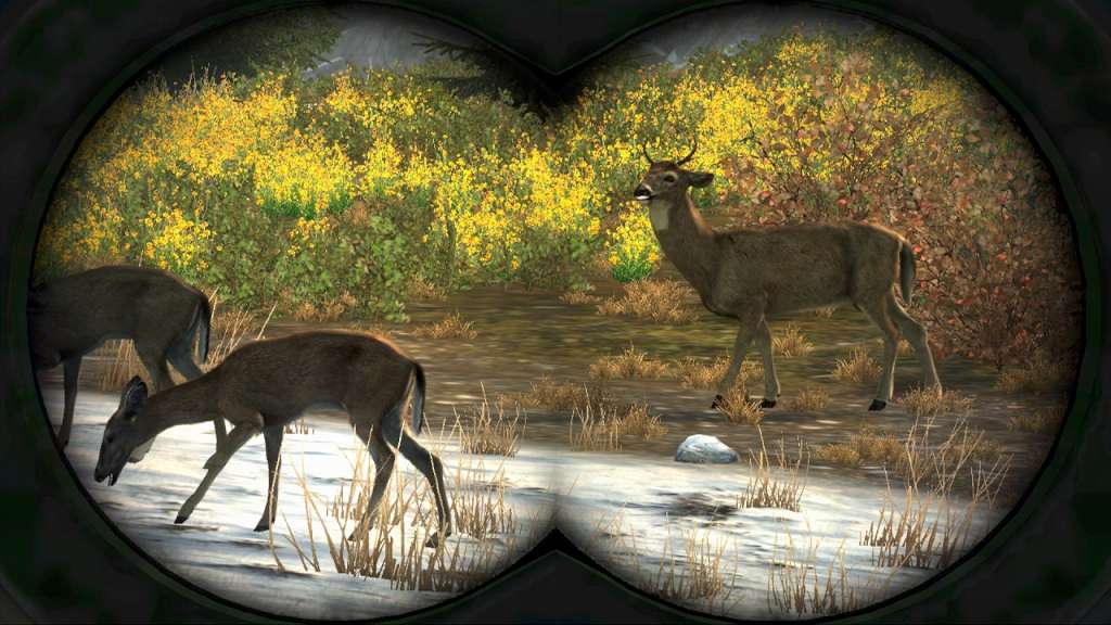 Cabela's Big Game Hunter Pro Hunts Steam Gift