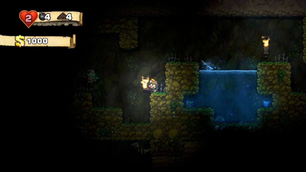 Spelunky Steam Gift
