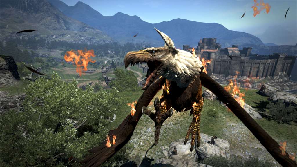 Dragon's Dogma: Dark Arisen EU Nintendo Switch CD Key