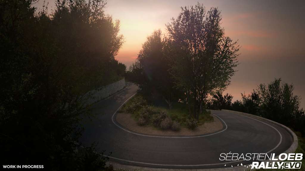 Sébastien Loeb Rally EVO PC Steam CD Key