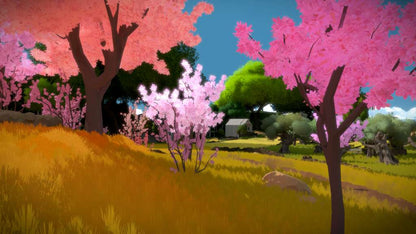 The Witness GOG CD Key