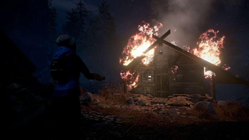 Through the Woods EU XBOX One CD Key