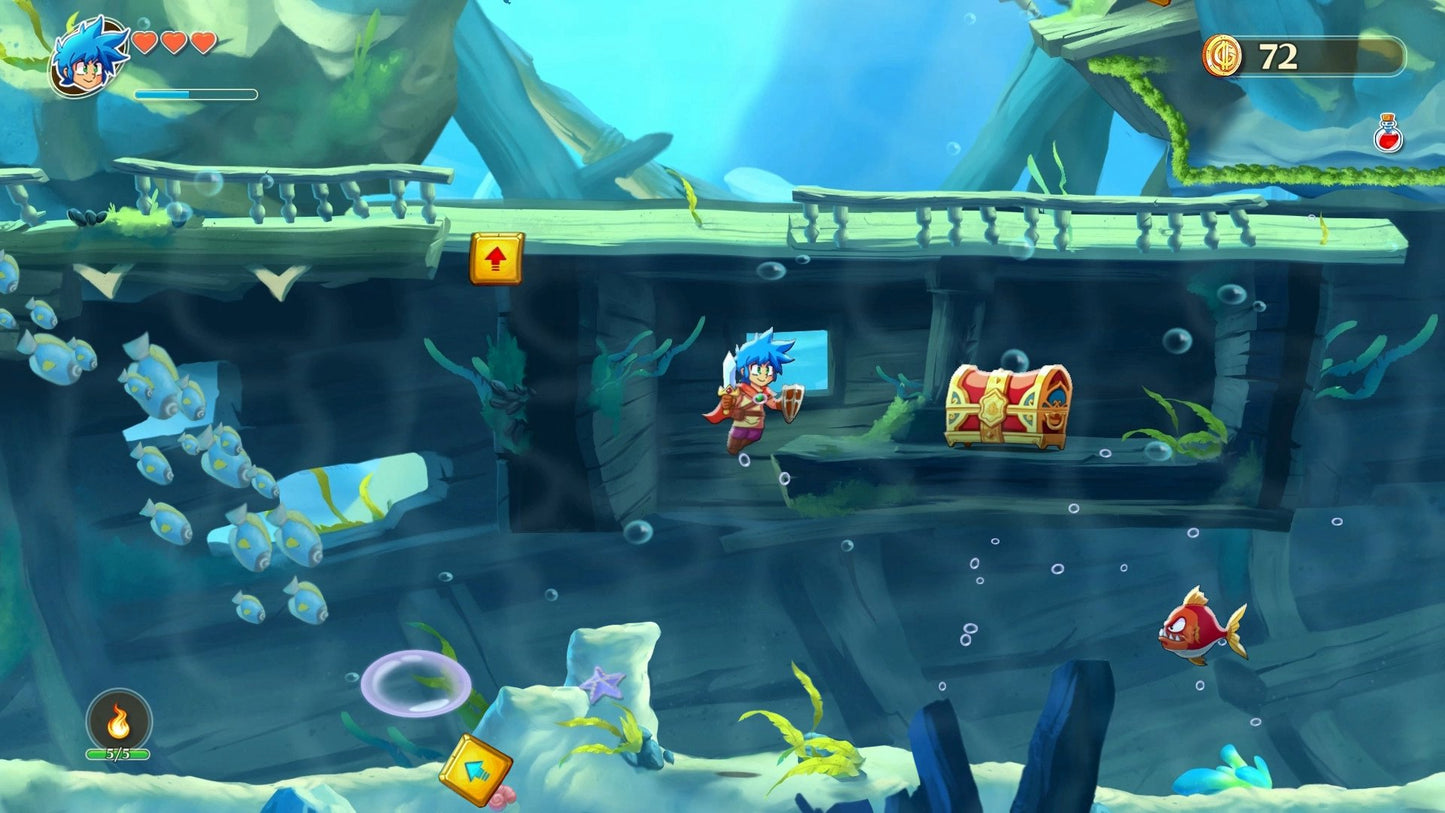 Monster Boy and the Cursed Kingdom Nintendo Switch Online Account Activation