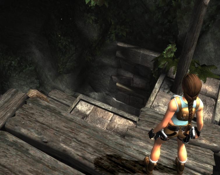 Tomb Raider: Anniversary Steam Gift