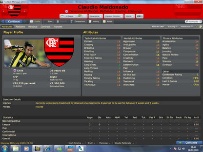 Football Manager 2011 PC Steam CD Key