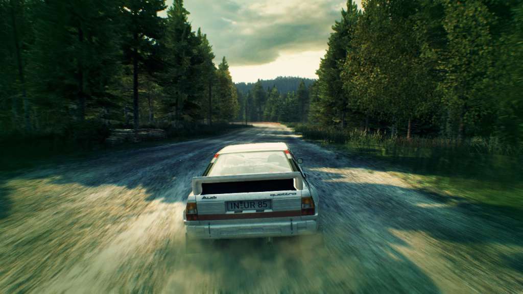 DiRT 3 PC Steam CD Key