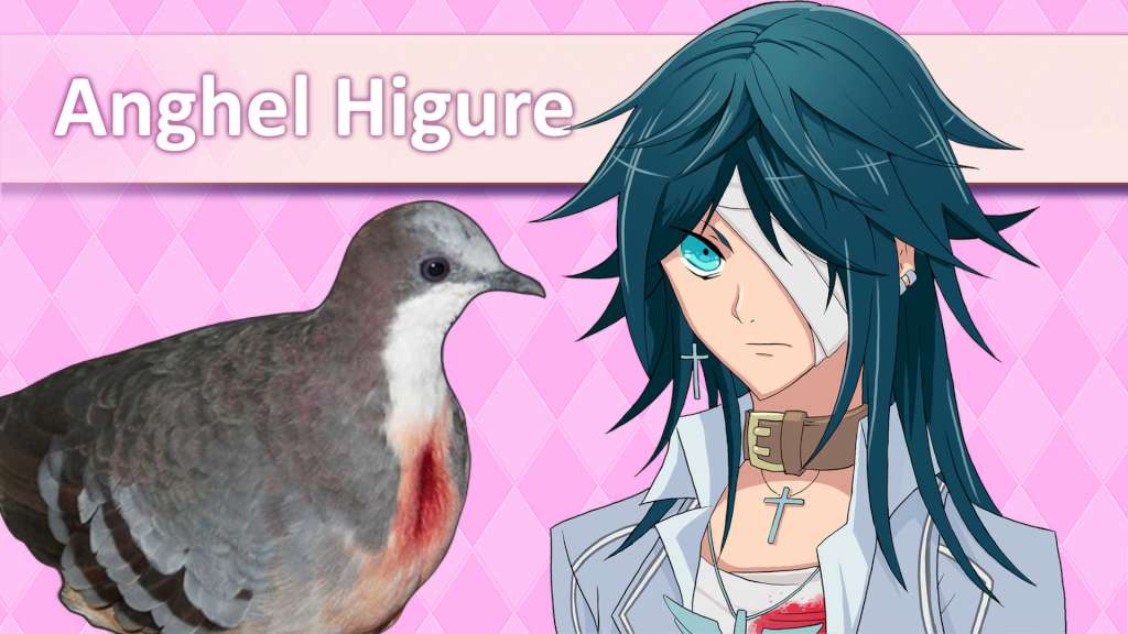 Hatoful Boyfriend Collector's Edition Steam CD Key