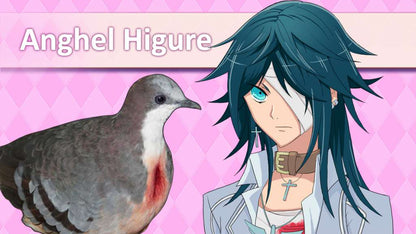 Hatoful Boyfriend Collector's Edition Steam CD Key
