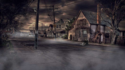 Infected: The Twin Vaccine Collector's Edition Steam CD Key