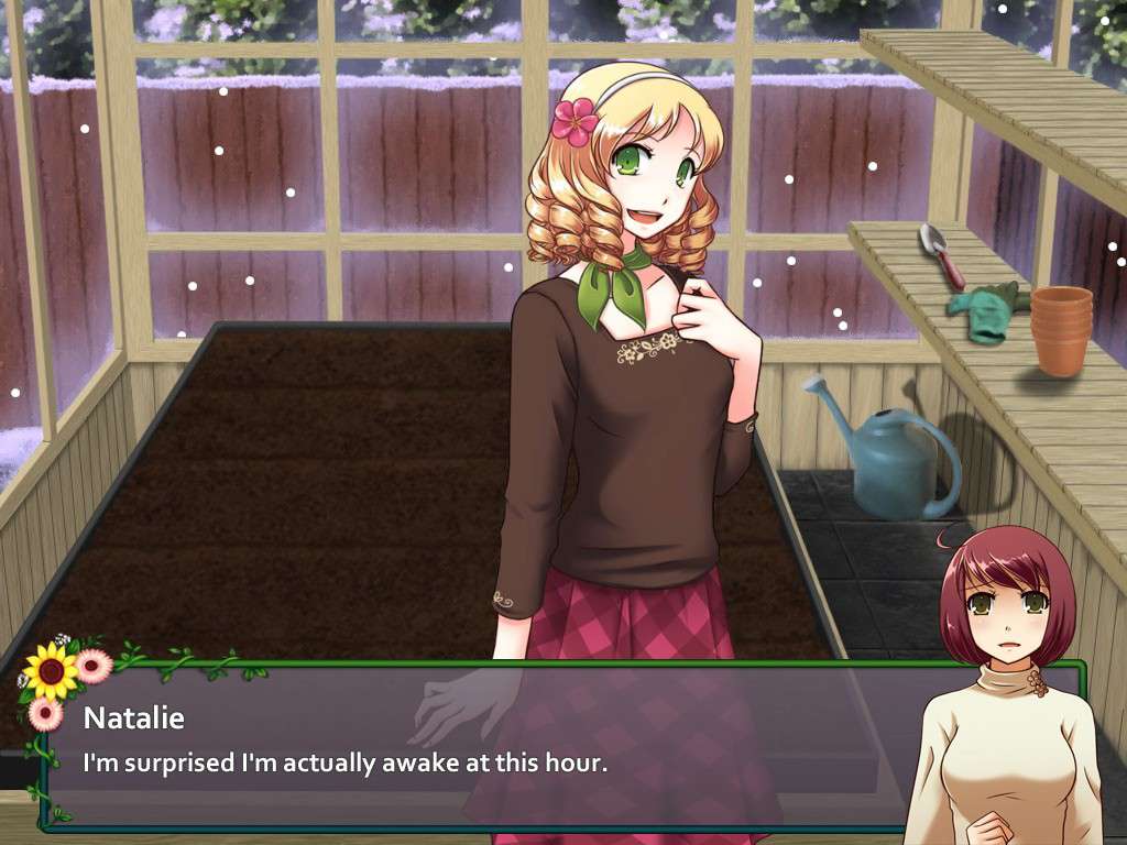 Flower Shop: Winter In Fairbrook Steam CD Key