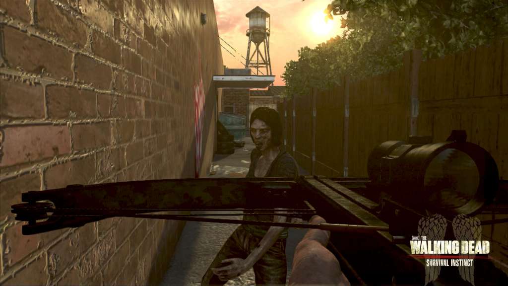 The Walking Dead: Survival Instinct Steam Gift