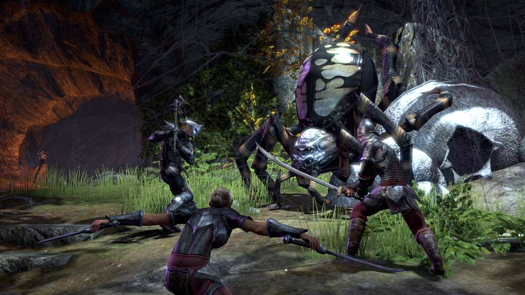 The Elder Scrolls Online -  Explorer's Pack DLC EU PS4 CD Key