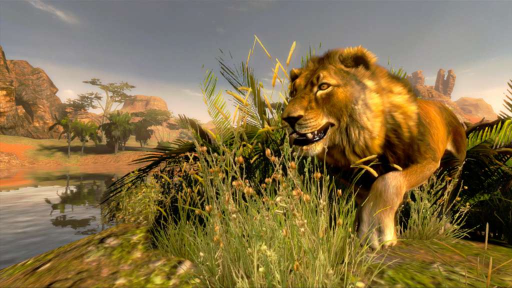 Cabela's Hunting Expeditions Steam CD Key