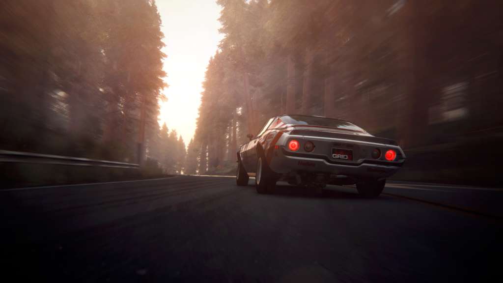 GRID 2 + Drift Pack PC Steam CD Key