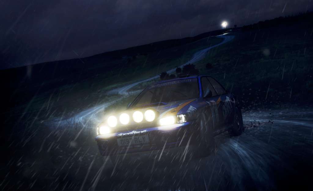 DiRT Rally EU PC Steam CD Key