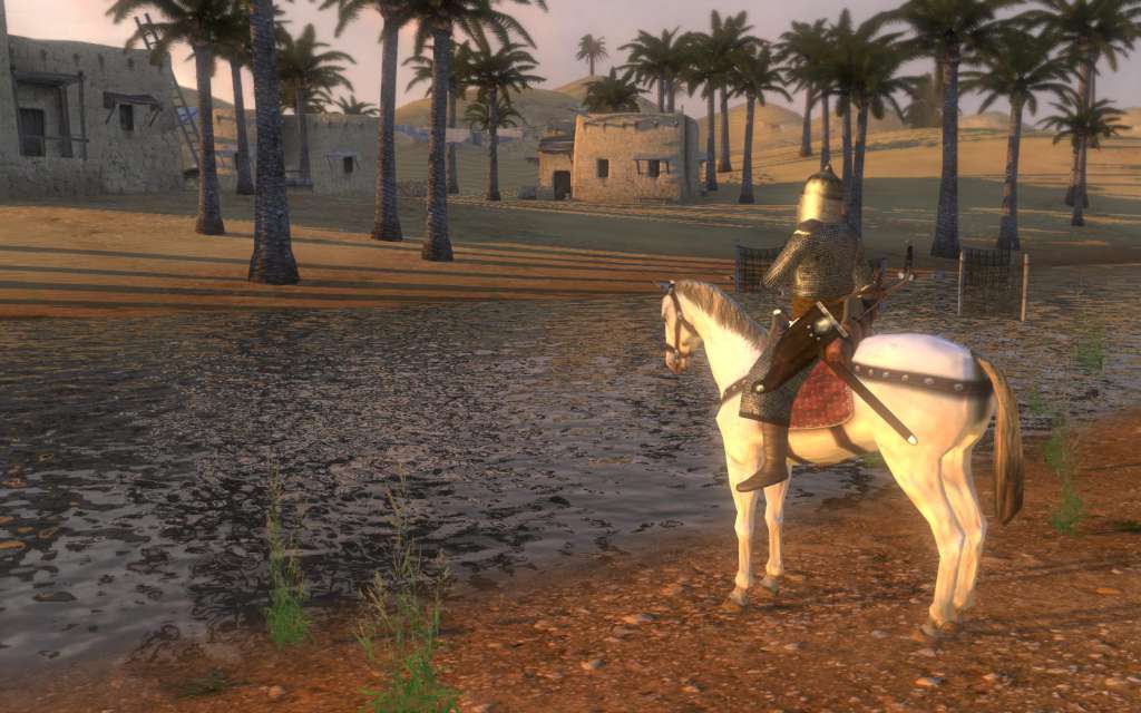 Mount & Blade: Warband PC Windows 10/11 Account