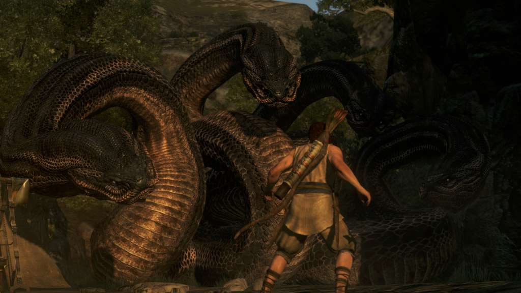 Dragon's Dogma: Dark Arisen EU Nintendo Switch CD Key