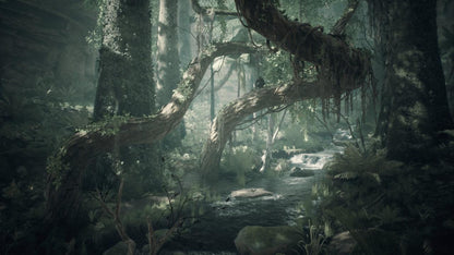 Ancestors: The Humankind Odyssey PS5 Account