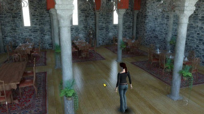 Hotel Collectors Edition PC Steam CD Key