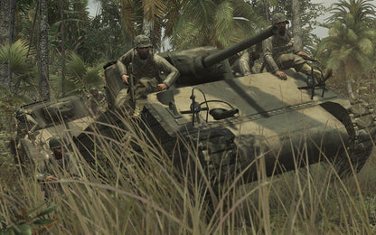 Call of Duty: World at War PC Steam CD Key