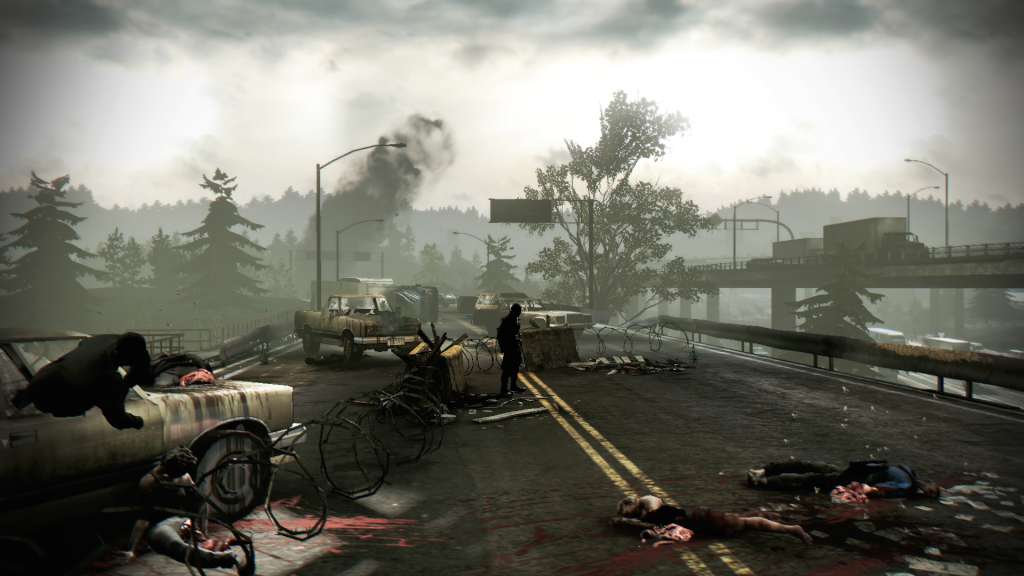 Deadlight Director's Cut PS4/PS5 Online Account Activation