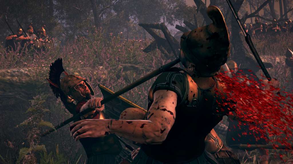 Total War: ROME II - Blood & Gore DLC PC Steam CD Key