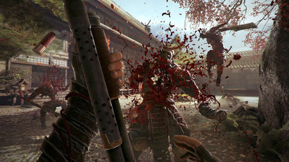 Shadow Warrior 2 GOG CD Key
