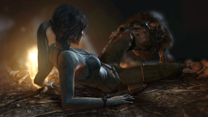 Tomb Raider Game of the Year Edition PC Steam CD Key