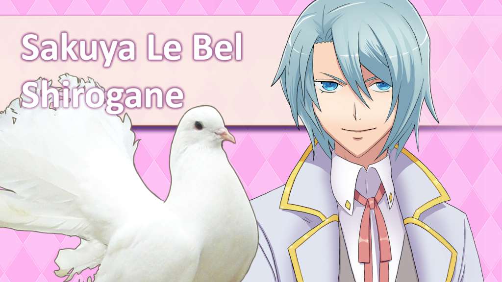 Hatoful Boyfriend Collector's Edition Steam CD Key