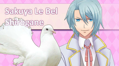 Hatoful Boyfriend Collector's Edition Steam CD Key