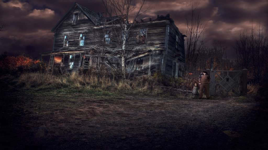 Infected: The Twin Vaccine Collector's Edition Steam CD Key