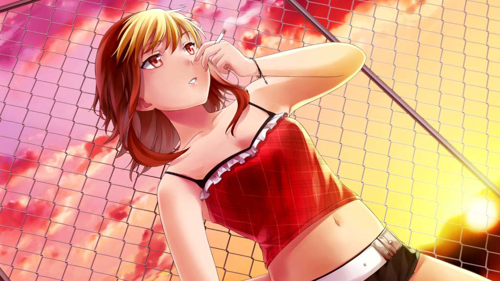 HuniePop GOG CD Key