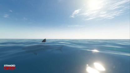 Stranded Deep PS4/PS5 Account