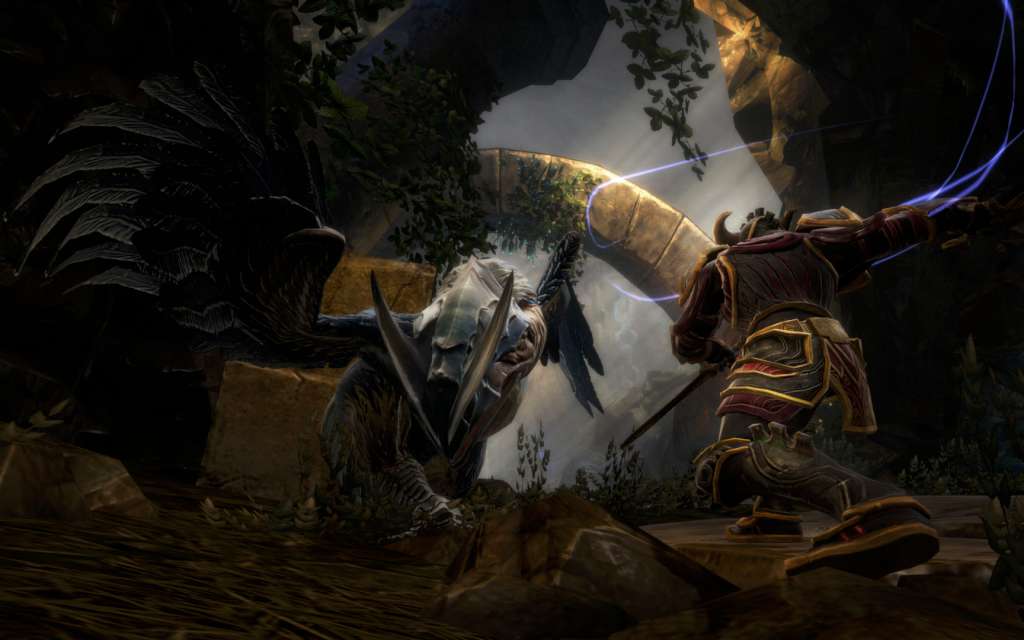 Kingdoms of Amalur: Reckoning - Collection Steam Gift