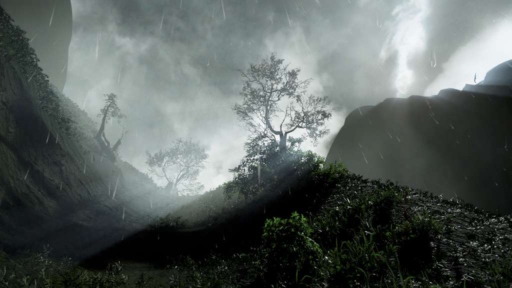 Drizzlepath Steam CD Key