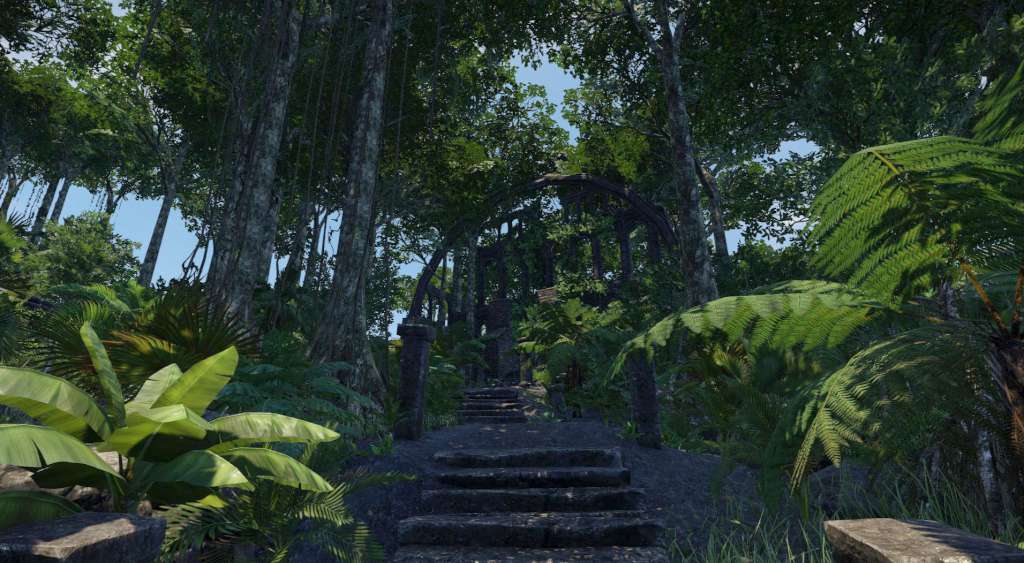 Wander Steam Gift